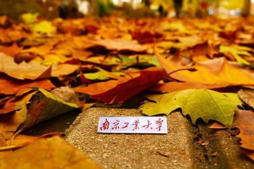 南京工業大學 百廿育才，鑄就科技與產業輝煌——慶祝建校119周年