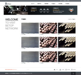 工業(yè)制品網(wǎng)站建設(shè)新標桿 奔唐網(wǎng)絡(luò)天津網(wǎng)站建設(shè)案例解析