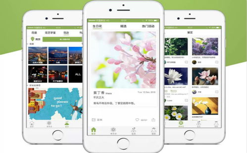 山西花卉種植App開發(fā)與成品系統(tǒng)——鄭州專業(yè)軟件解決方案